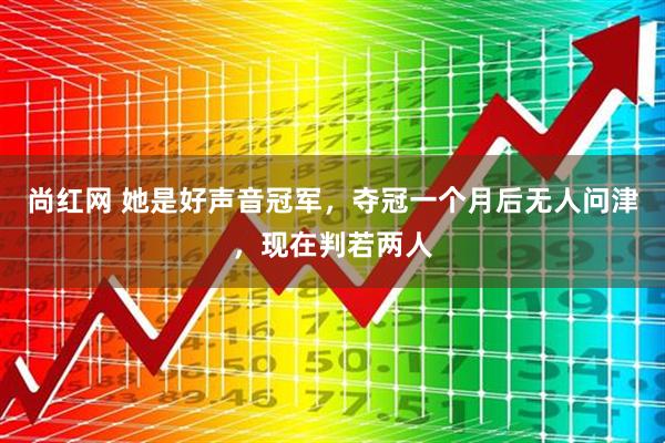 尚红网 她是好声音冠军，夺冠一个月后无人问津，现在判若两人