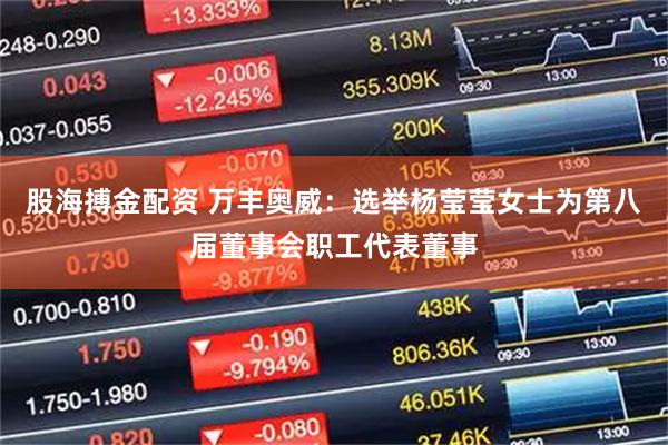 股海搏金配资 万丰奥威：选举杨莹莹女士为第八届董事会职工代表董事