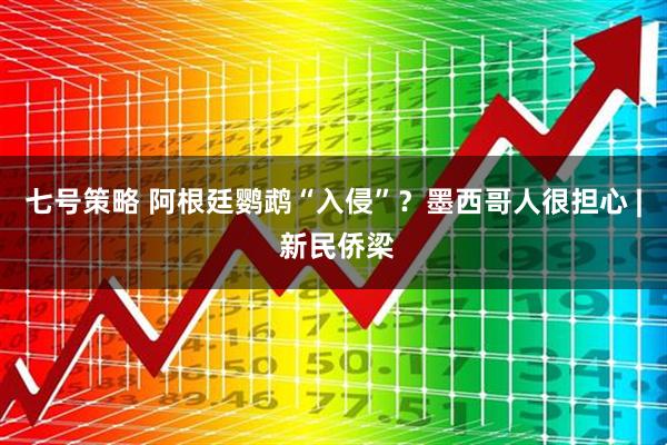 七号策略 阿根廷鹦鹉“入侵”？墨西哥人很担心 | 新民侨梁