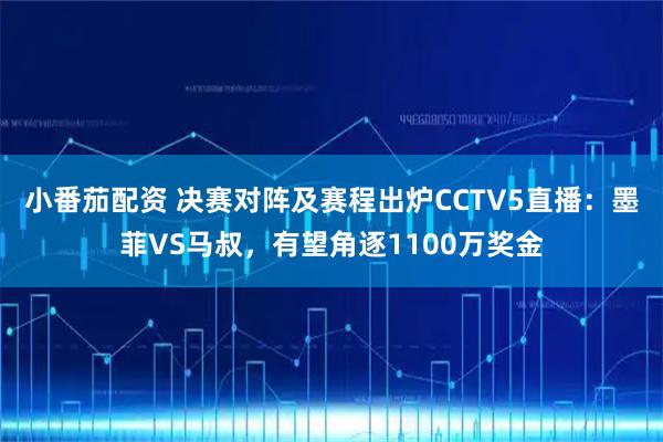 小番茄配资 决赛对阵及赛程出炉CCTV5直播：墨菲VS马叔，有望角逐1100万奖金