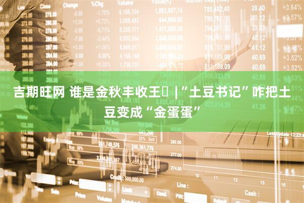 吉期旺网 谁是金秋丰收王⑮|“土豆书记”咋把土豆变成“金蛋蛋”