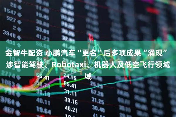 金智牛配资 小鹏汽车“更名”后多项成果“涌现” 涉智能驾驶、Robotaxi、机器人及低空飞行领域