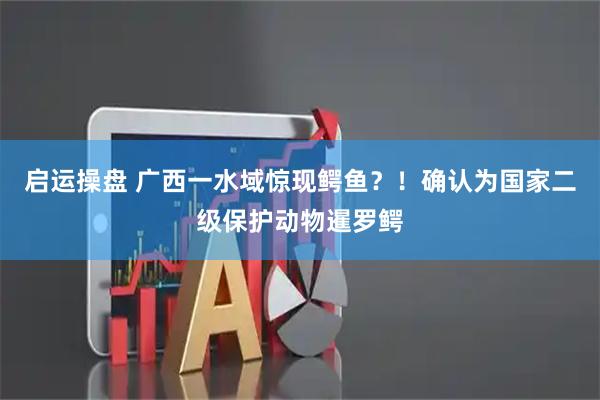 启运操盘 广西一水域惊现鳄鱼？！确认为国家二级保护动物暹罗鳄