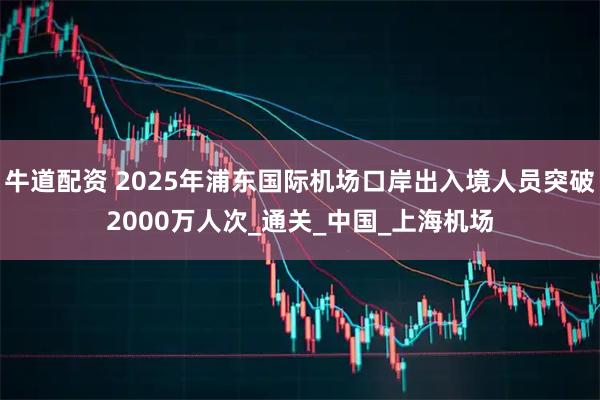 牛道配资 2025年浦东国际机场口岸出入境人员突破2000万人次_通关_中国_上海机场