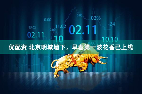 优配资 北京明城墙下，早春第一波花香已上线